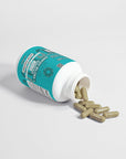 Ginkgo Biloba + Ginseng