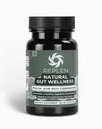 Natural Gut Wellness Powder