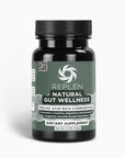 Natural Gut Wellness Powder